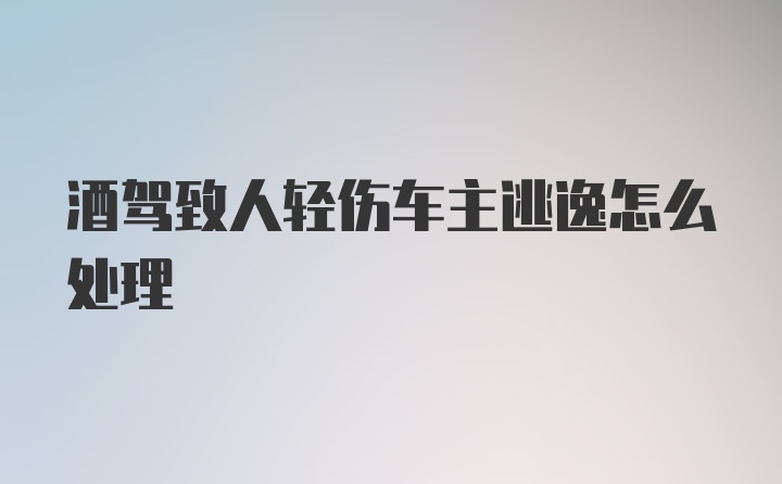 酒驾致人轻伤车主逃逸怎么处理