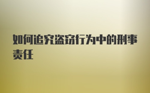 如何追究盗窃行为中的刑事责任