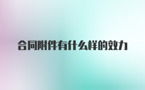 合同附件有什么样的效力