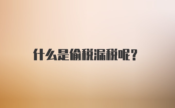 什么是偷税漏税呢?