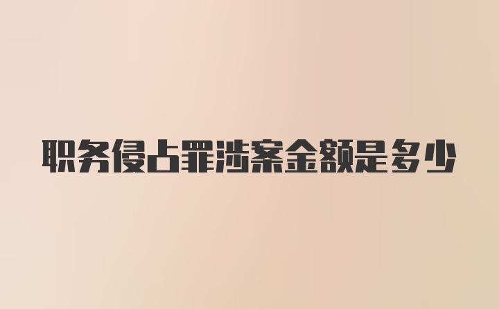 职务侵占罪涉案金额是多少