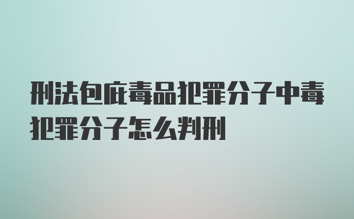 刑法包庇毒品犯罪分子中毒犯罪分子怎么判刑