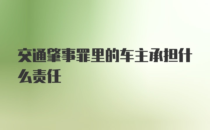 交通肇事罪里的车主承担什么责任