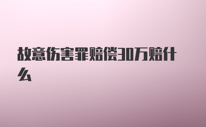 故意伤害罪赔偿30万赔什么