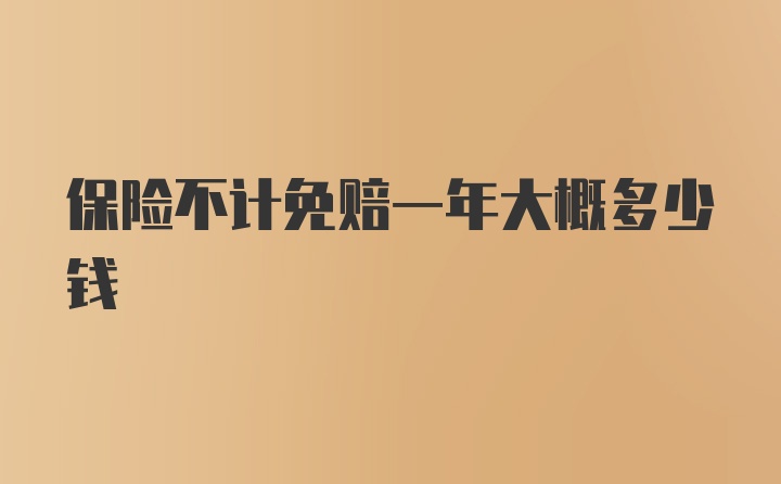 保险不计免赔一年大概多少钱