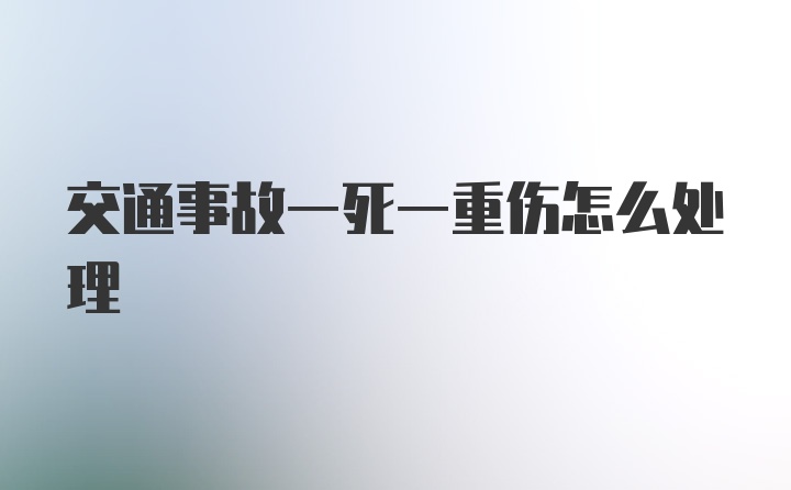 交通事故一死一重伤怎么处理