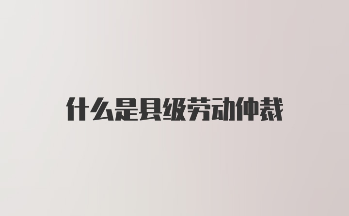 什么是县级劳动仲裁