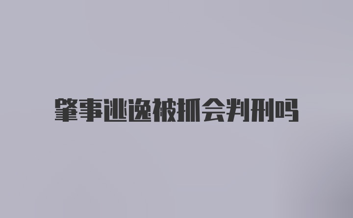 肇事逃逸被抓会判刑吗