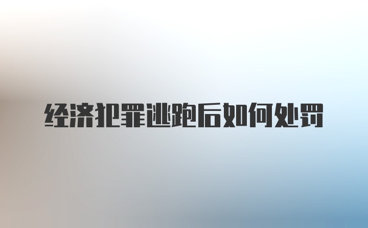 经济犯罪逃跑后如何处罚