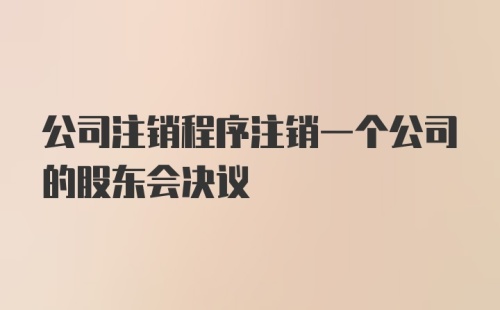 公司注销程序注销一个公司的股东会决议