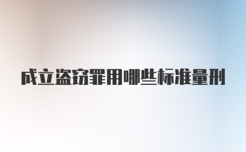 成立盗窃罪用哪些标准量刑