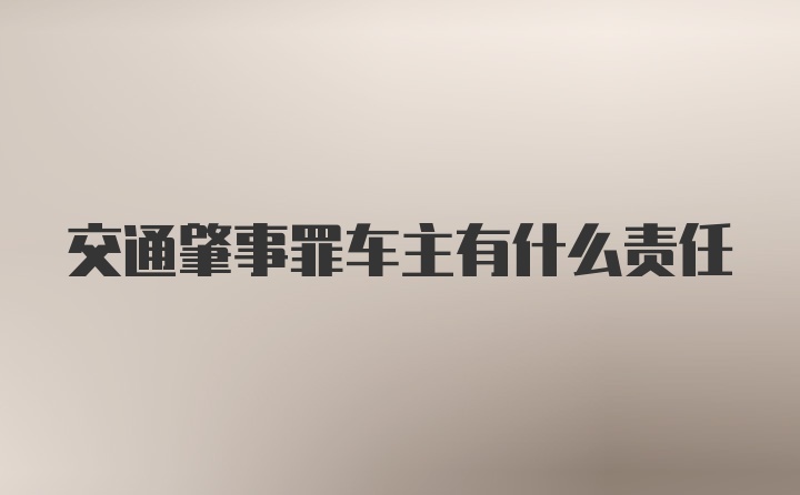 交通肇事罪车主有什么责任