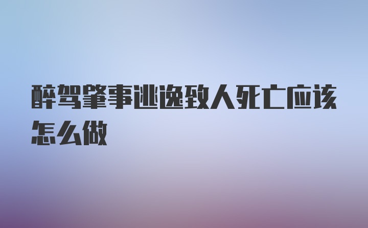 醉驾肇事逃逸致人死亡应该怎么做