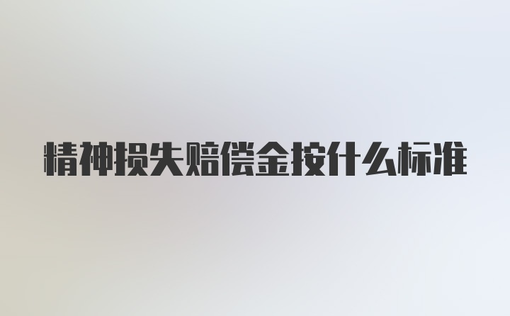 精神损失赔偿金按什么标准