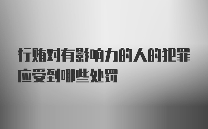 行贿对有影响力的人的犯罪应受到哪些处罚