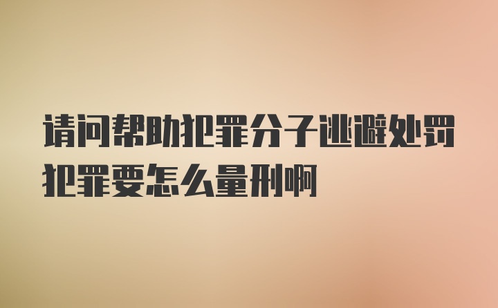 请问帮助犯罪分子逃避处罚犯罪要怎么量刑啊