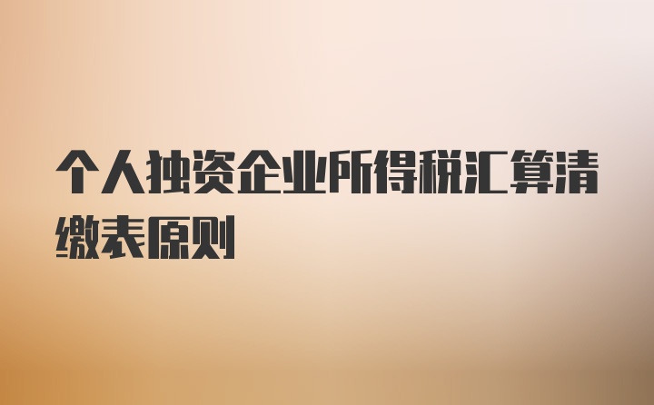 个人独资企业所得税汇算清缴表原则