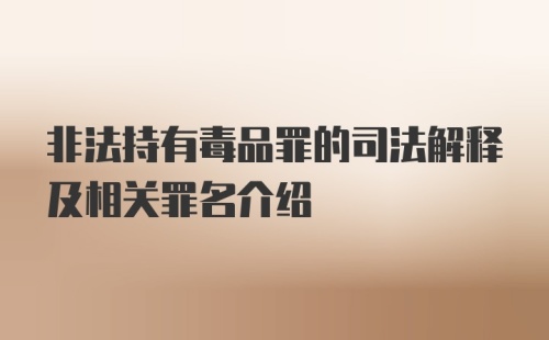 非法持有毒品罪的司法解释及相关罪名介绍