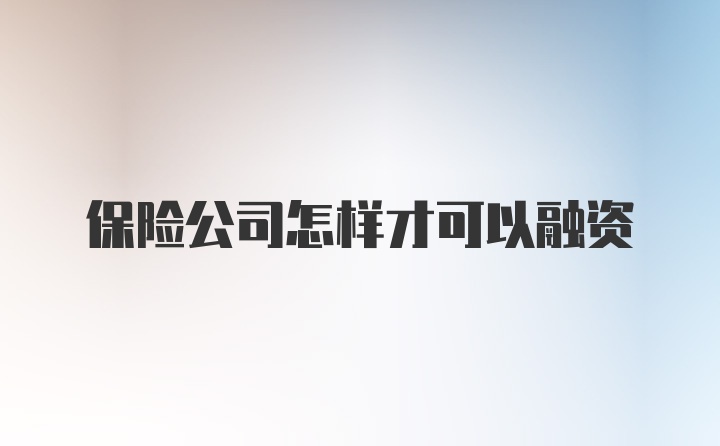 保险公司怎样才可以融资