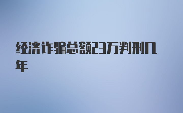 经济诈骗总额23万判刑几年