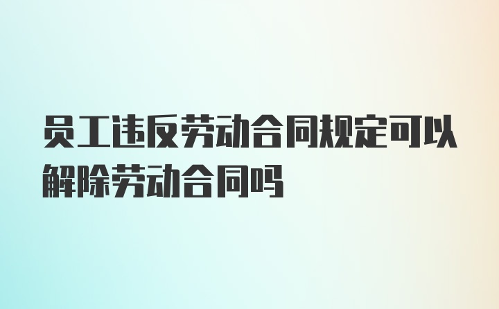 员工违反劳动合同规定可以解除劳动合同吗