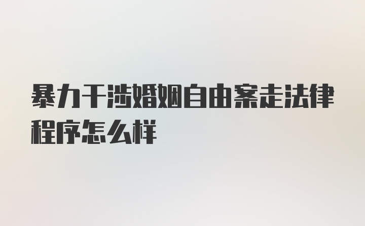 暴力干涉婚姻自由案走法律程序怎么样