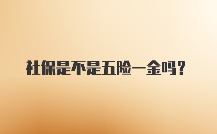 社保是不是五险一金吗？