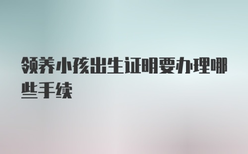 领养小孩出生证明要办理哪些手续