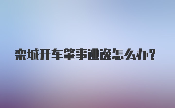 栾城开车肇事逃逸怎么办？