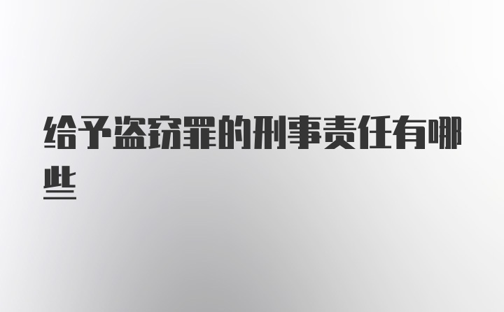 给予盗窃罪的刑事责任有哪些