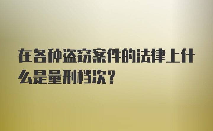 在各种盗窃案件的法律上什么是量刑档次？