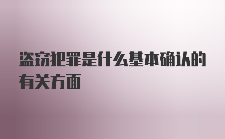 盗窃犯罪是什么基本确认的有关方面