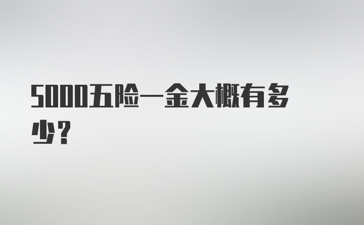 5000五险一金大概有多少？