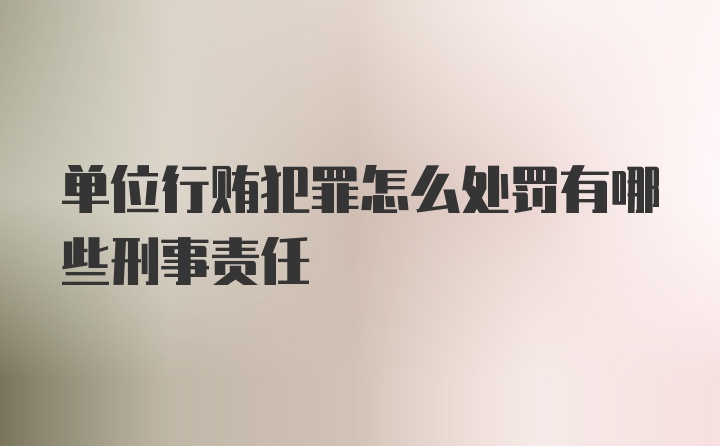 单位行贿犯罪怎么处罚有哪些刑事责任