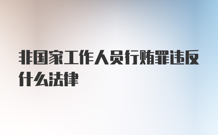 非国家工作人员行贿罪违反什么法律