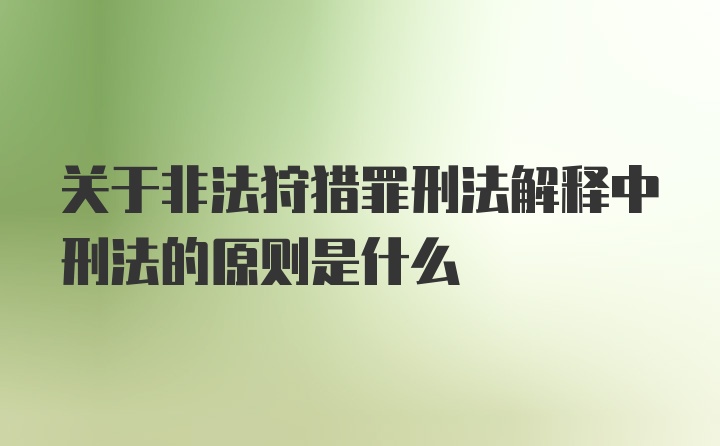 关于非法狩猎罪刑法解释中刑法的原则是什么