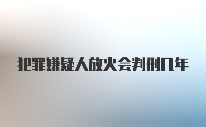 犯罪嫌疑人放火会判刑几年