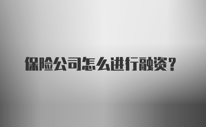 保险公司怎么进行融资？