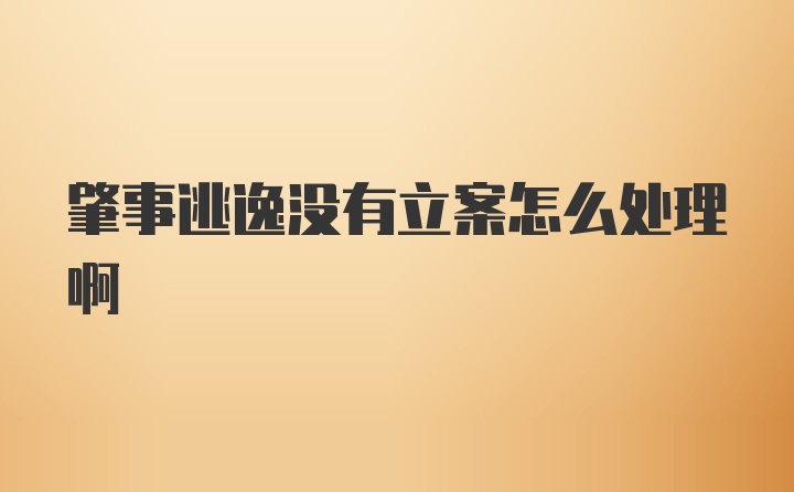 肇事逃逸没有立案怎么处理啊