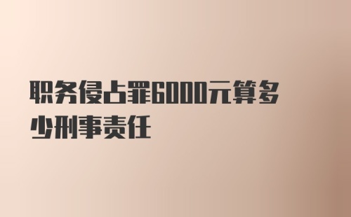 职务侵占罪6000元算多少刑事责任