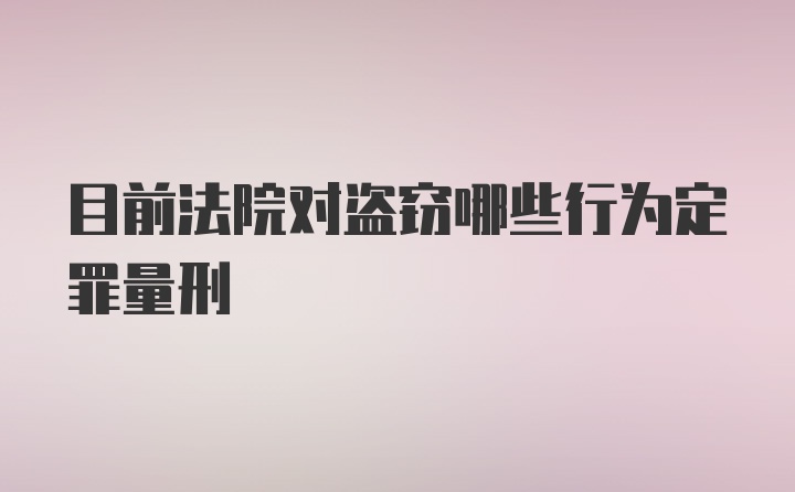 目前法院对盗窃哪些行为定罪量刑