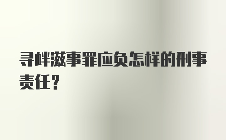 寻衅滋事罪应负怎样的刑事责任？