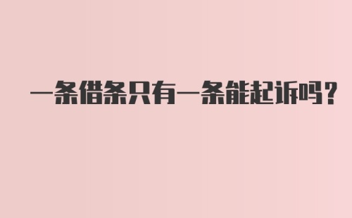 一条借条只有一条能起诉吗?