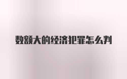 数额大的经济犯罪怎么判