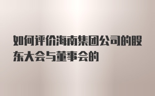 如何评价海南集团公司的股东大会与董事会的