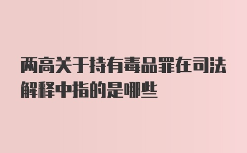 两高关于持有毒品罪在司法解释中指的是哪些