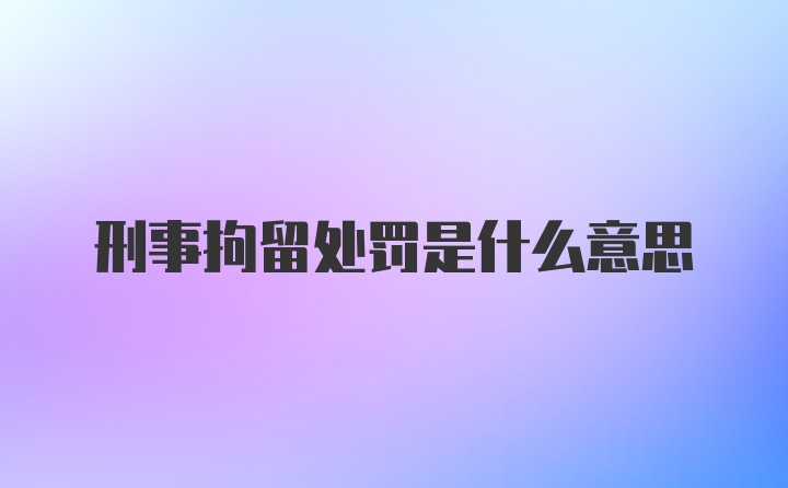 刑事拘留处罚是什么意思