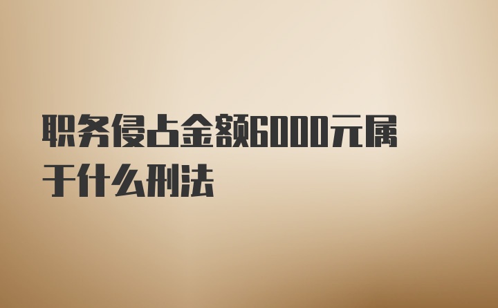 职务侵占金额6000元属于什么刑法