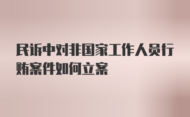 民诉中对非国家工作人员行贿案件如何立案