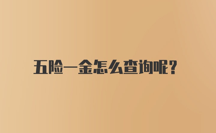 五险一金怎么查询呢？